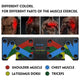 Push Up Board 9 System - Yowzer Deals